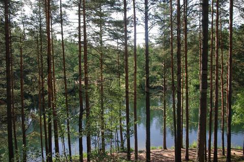 レニングラード地方の湖で休む